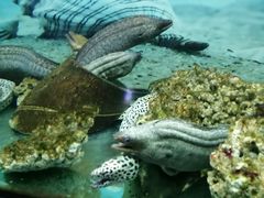 -泉州海丝野生动物世界