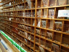 -猫的天空之城概念书店(印象城购物中心店)