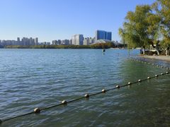 -天鹅湖体育公园