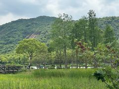 -长广溪湿地公园
