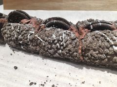 -奈雪的茶(国金中心店)