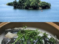-千岛湖王子谷漂流