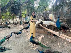 -西双版纳勐泐文化旅游区