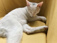 -吴祥记潮州菜·百年老字号·砂锅粥