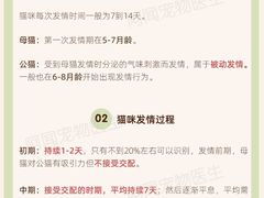 -瑞鹏宠物医院犬猫全科(真大分院)