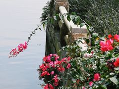-海珠湖公园
