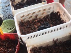 -7mall美食潮地标