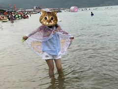 -西中岛海滨