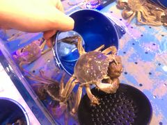 -澜悦港海鲜体验主题餐厅