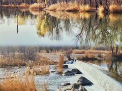 -永定河休闲森林公园