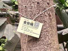 -呀路古热带植物园