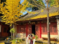 -少华山国家森林公园