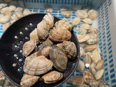 -芝小官毛肚火锅海鲜自助(淮安清江浦区新亚店)
