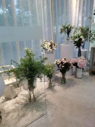 -Hi Beauty Skin 科技美肤中心