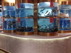 水产区-蜀滋香鲜鱼美蛙火锅(339店)