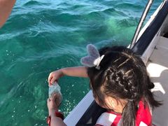 -亚龙湾海底世界