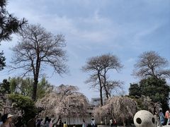 -西安青龙寺遗址景区