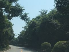 -平湖九龙山庄园圣马可酒店