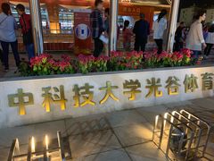 -华中科技大学光谷体育馆