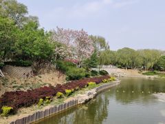 -大兴滨河森林公园