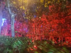 -郑州方特水上乐园