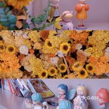 🌻上海探店｜向日葵控的天堂，美到哭泣！