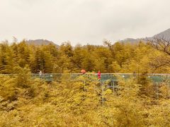 -陶祖圣境风景区