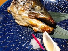 炙烤三文鱼头-渔寿司·日本料理(艾尚天地店)