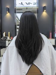 -藤野造型