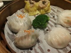 -新兴·金羊座·粤菜点心(乐峰店)