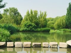 -海淀公园