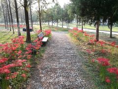 -河海大学(江宁校区)