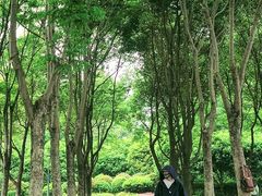 -尚贤河湿地