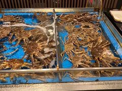 水产区-蟹将军·松叶蟹和牛日料放题自助(K11店)