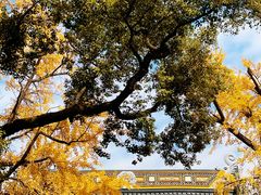 -西园戒幢律寺