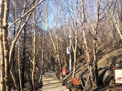 -白草畔自然风景区