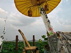 -七的湖·晚芳亭·阳澄湖农家菜·大闸蟹(莲花岛店)