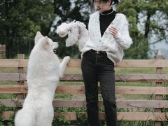 -趣多多宠物公园·宠物训犬学校·宠物寄养