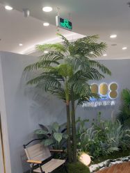 点击看大图 -八佰伴8008星级形象店