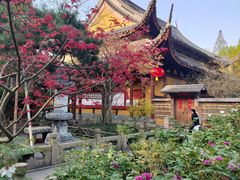 -龙华寺