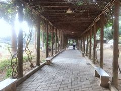 -龙凤山庄影视度假村