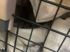 -北京赛佳动物医院