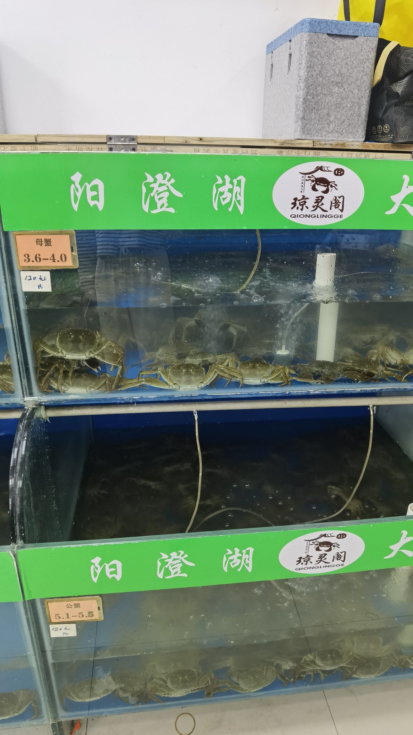 大闸蟹到碗里来