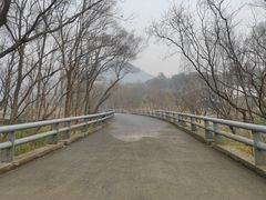 -西湖风景区-江洋畈生态公园
