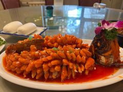 松鼠鱼-金牌餐厅·天津菜·八珍豆腐·老爆三(瓷房子店)