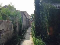 -东台西溪天仙缘景区