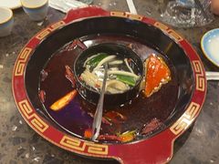 -金鼎雪山牦牛杂火锅(理县总店)