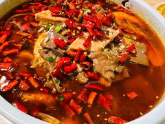 毛血旺-台北楚楚园馅饼粥(虹桥南丰城店)
