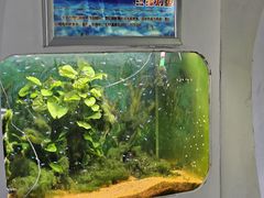 -嘉兴海底世界
