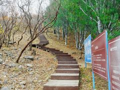 -蟒山国家森林公园-停车场